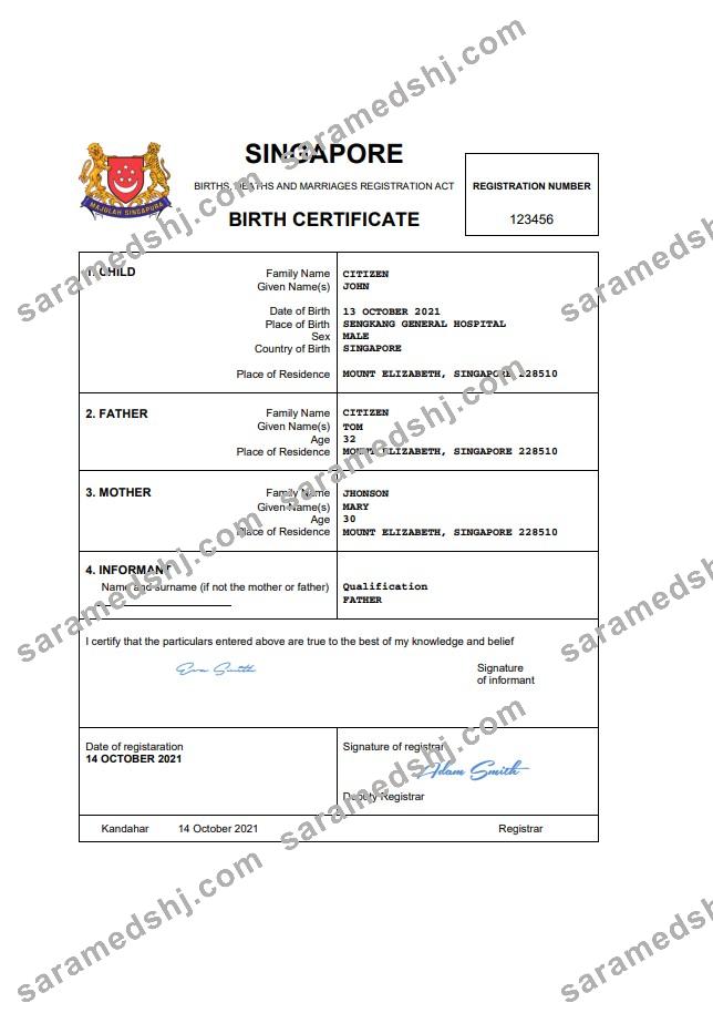 Singapore vital record birth certificate Word and PDF template